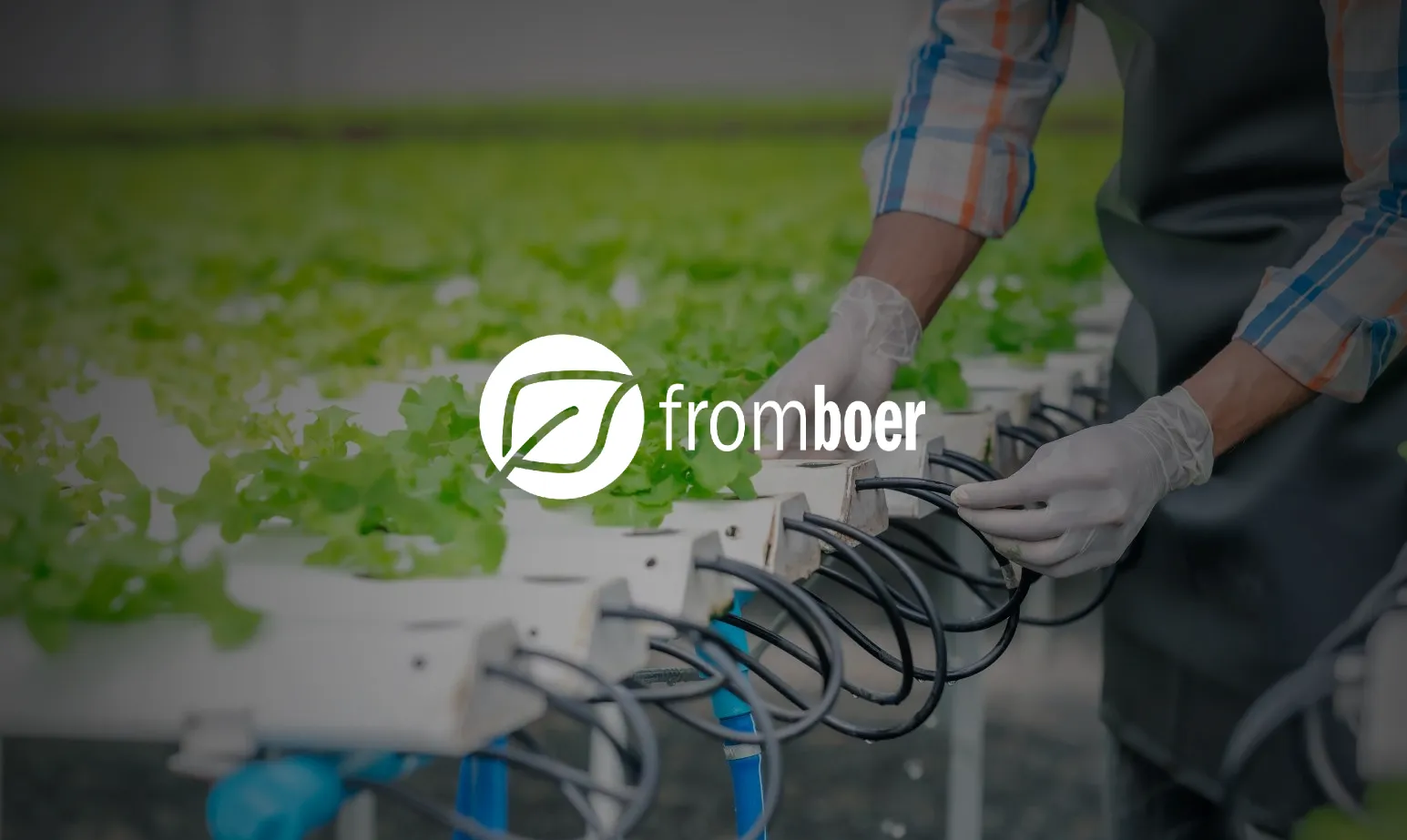 FromBoer case study