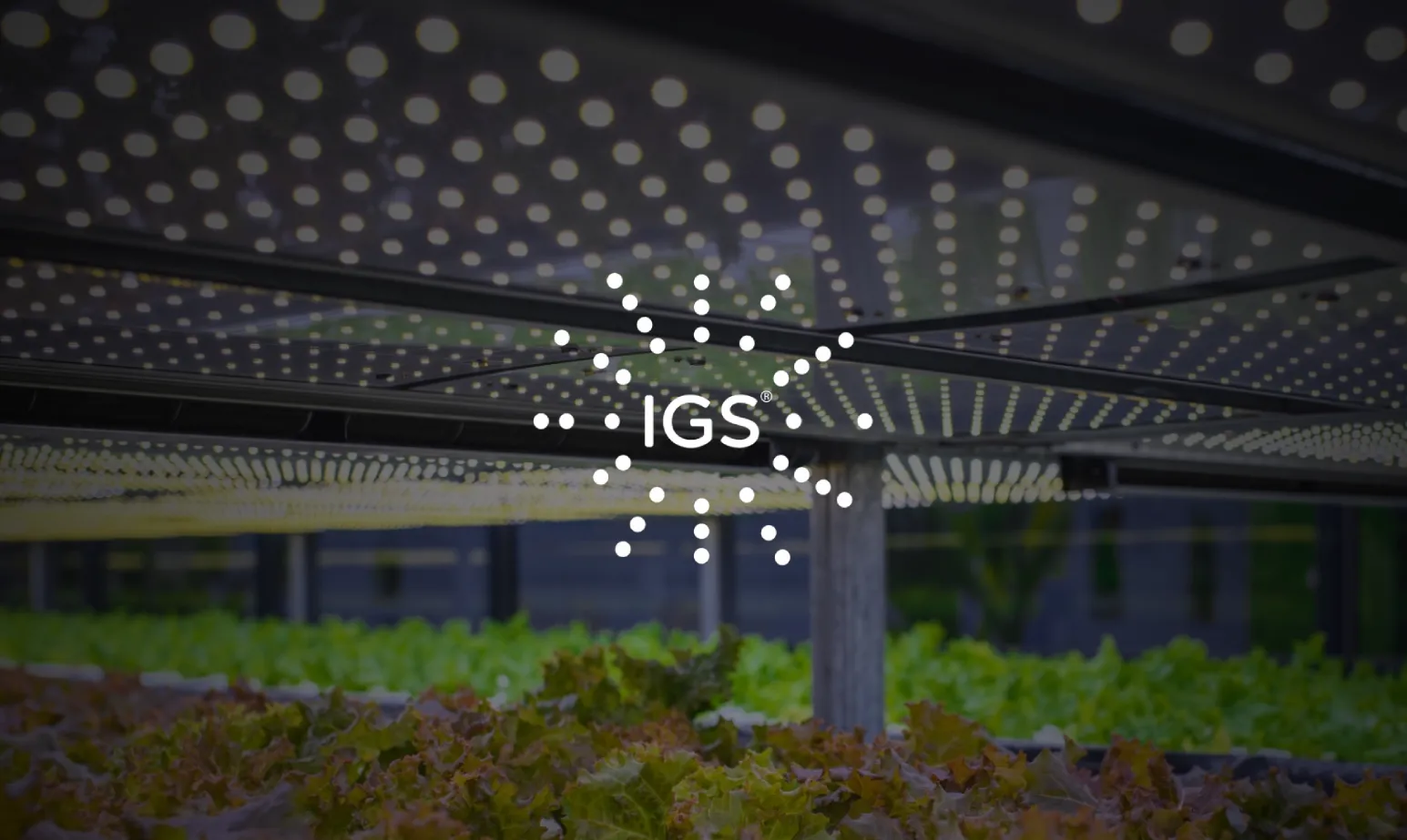 IGS case study