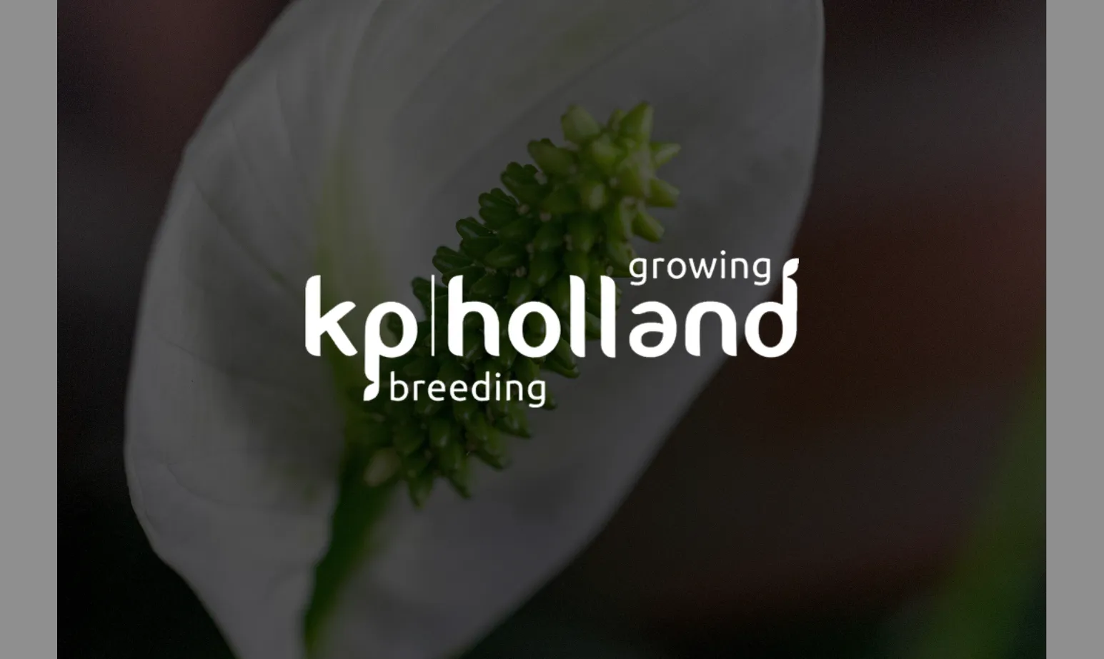 KP Holland case study