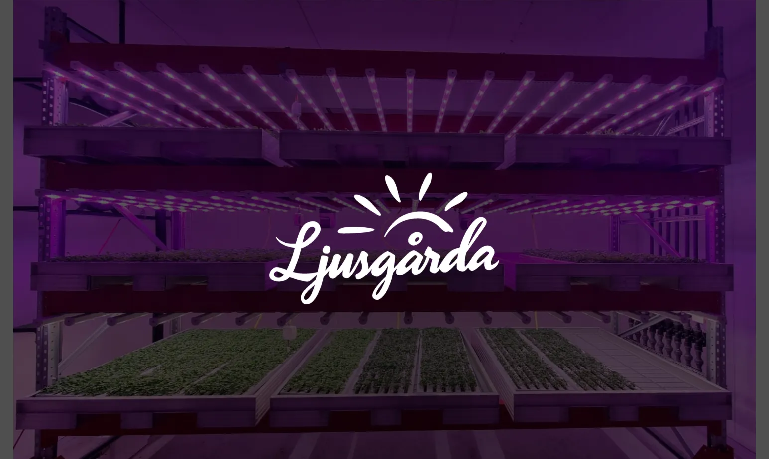 Ljusgårda case study