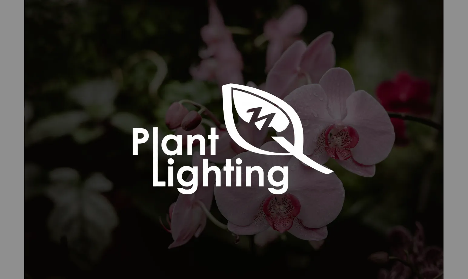 Plant Lighting case study